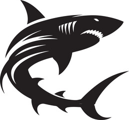 shark vector illustration