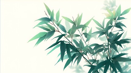 Fototapeta premium Elegant Bamboo Branch with Lush Green Leaves Against a Soft White Background.
