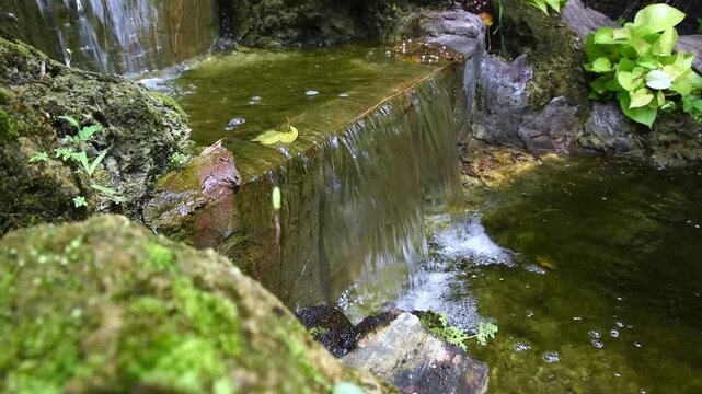 tiered artificial waterfall surrounded by mossy rocks and ornamental plants