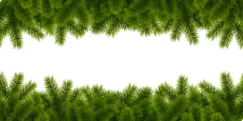 Festive Green Pine Branches Transparent Border