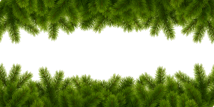 Festive Green Pine Branches Transparent Border - Powered by Adobe