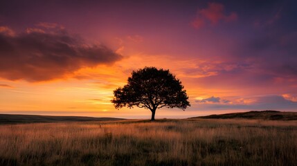 Fototapeta premium Majestic solitary tree silhouette against a vibrant sunset sky over a tranquil field.