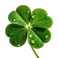 A vibrant four-leaf clover with glistening water droplets against a deep black background.