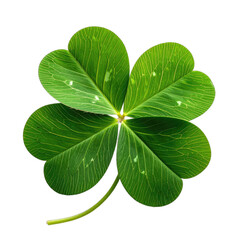 A vibrant four-leaf clover prominently displayed against a stark black background.