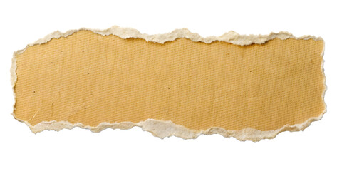 Old Paper Texture with Torn Edges