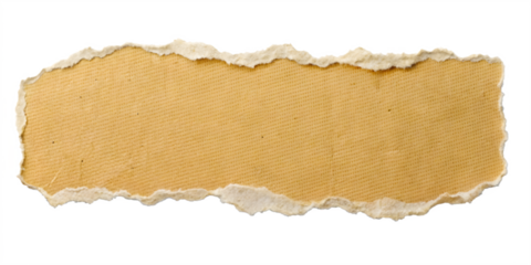 Old Paper Texture with Torn Edges