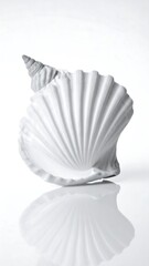 A close-up, monochromatic photograph of a sculpted seashell, resting on a reflective surface. The shell is detailed and textured, with distinct ridges
