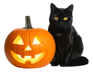 A carved pumpkin with a glowing face and a shiny-coated black cat posing next to it against a transparent background