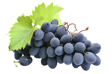 Bunch of grapes isolated