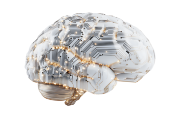 Digital white brain design overlaid isolated on cutout PNG or transparent background. Computer programming code and structural elements. Has futuristic, tech-inspired appearance. Future Technology.