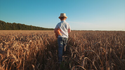 Fototapeta premium A Young Child Joyfully Walking Through a Golden Wheat Field During a Beautiful Sunset