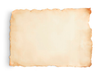 Old Paper Texture with Torn Edges