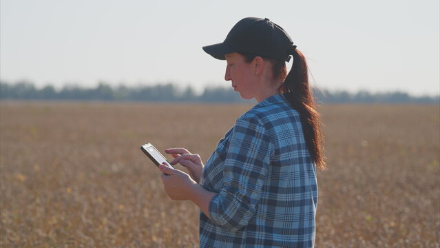 A woman uses a tablet in an agriculture field, improving efficiency in data management - Powered by Adobe