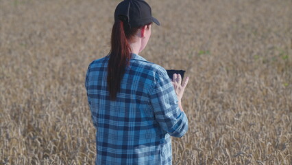 A Young Woman Methodically Analyzing Data in a Vast Wheat Field to Ensure Optimal Yield