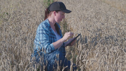 The Comprehensive Study of Agricultural Research within Wheat Field Ecosystems in Detail