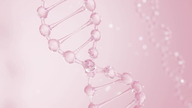 Pink liquid DNA helix animation for cosmetic and skin rejuvenation concept