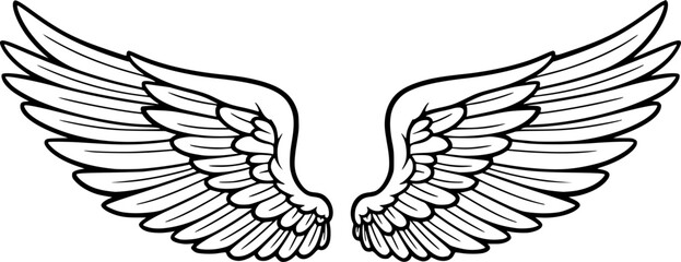 Wings sketch. Stylized birds wings. Hand drawn contoured stiker wing in open position. Vector design elements in coloring style
