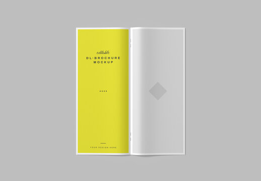 Editable DL Brochure Mockup