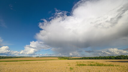Dramatic and stunningly beautiful Skies and rainbow Over Golden Fields in a breathtaking rural...