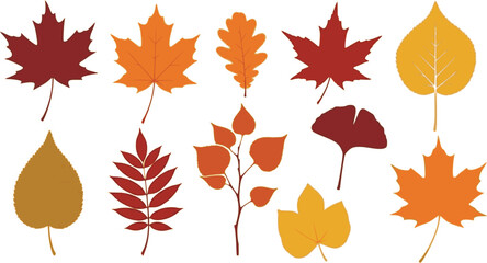 Vector set of decorative autumn leaf silhouettes.