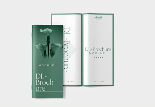 Minimal DL Brochure Mockup