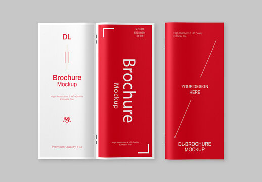DL Brochure Branding Mockup