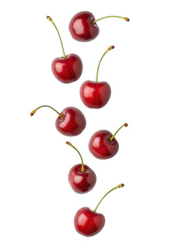 Fresh cherries falling in mid air isolated on transparent background