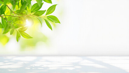 Green leaves on a bright sunny background with natural light and shadows
