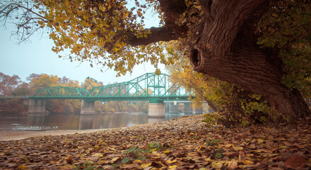 Fototapeta premium Autumn bridge over river