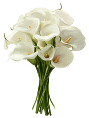Obraz premium Elegant Bouquet of White Calla Lilies with Green Stems Tied with Wire calla lily, Isolated, Png Transparent Background