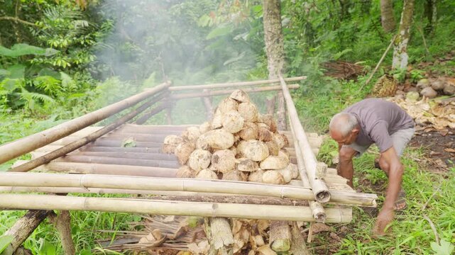 Old indonesian man farmer using coconut husks for smoke drying copra on traditional bamboo rack in rural village on flores island, indonesia, asia, asian people