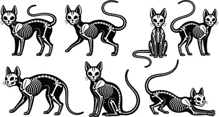 Spooky cat skeleton vector set, Halloween black and white feline anatomy poses illustration for tattoo, stickers, posters, gothic decor, party design © MD. NUR ISLAM