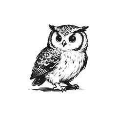 Obraz premium The sharp gaze of an owl. Black white vector illustration.