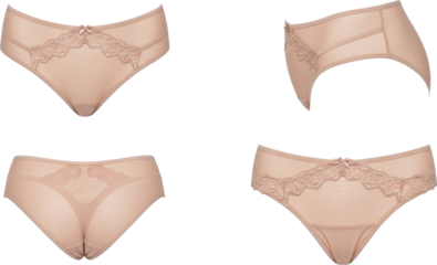 Four views of beige lace and mesh womens underwear elegant and comfortable design.