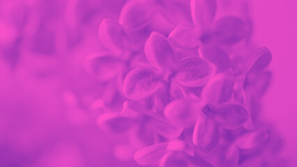Obraz premium Plant images for wallpaper, background, web design, and office 