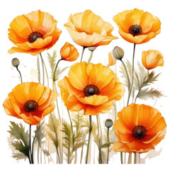Fototapeta premium Watercolor illustration of vibrant orange poppy flowers
