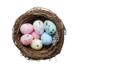 A closeup of spotted quail eggs resting in a small straw nest as a brown nature symbol for the Easter holiday spring decoration isolated on white background