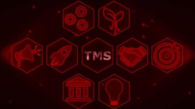 Glowing Red Hexagonal T M S Technology Management System Conceptual Animation glowing red hexagonal TMS technology management system