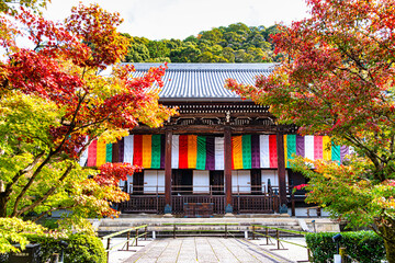 京都、永観堂の秋
