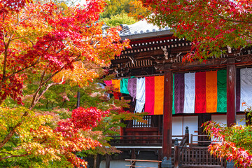 京都、永観堂の紅葉