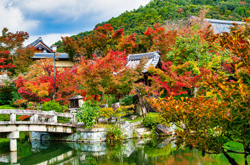 京都、永観堂の紅葉