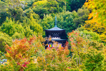 京都、永観堂の秋