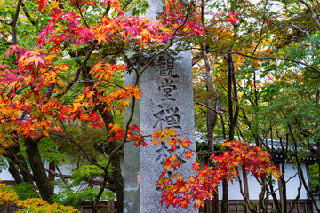 京都、永観堂の紅葉