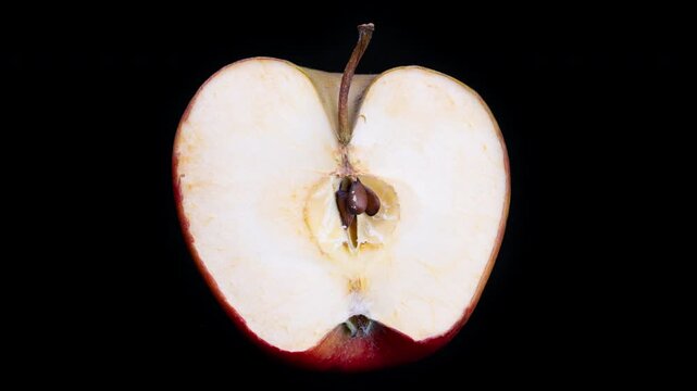 Closeup reveals rotting fruit changes, Macro shot of decomposing apple over time, Scientific timelapse capturing organic decay and transformation of shriveled apple
