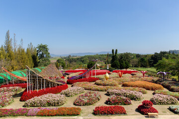 Agriculture, Color Image, Community Garden, Cultivated, Environment