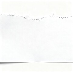 A crisp, high-resolution studio photograph captures a single, horizontal strip of torn white paper, presented isolated on a pure white background,