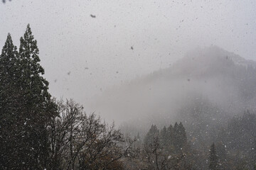 新潟の山々に降り始めた初雪と冬の霧 / First snowfall and winter mist over the mountains of Niigata, Japan