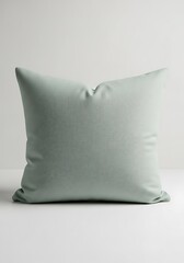 Studio shot of a light green decorative throw pillow against a white wall