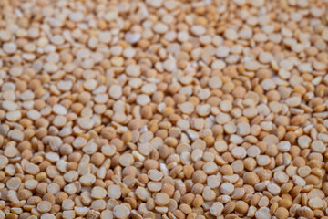 Yellow pea spread, Unevenly dispersed yellow peas imply preparation for sorting, Vivid display of scattered pea grains hints at upcoming packaging and processing stages