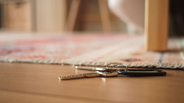 Keys on the floor next to a rug in a living room. lost key concept 